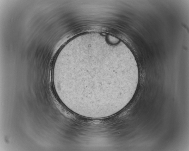 X0000102761130200809080935