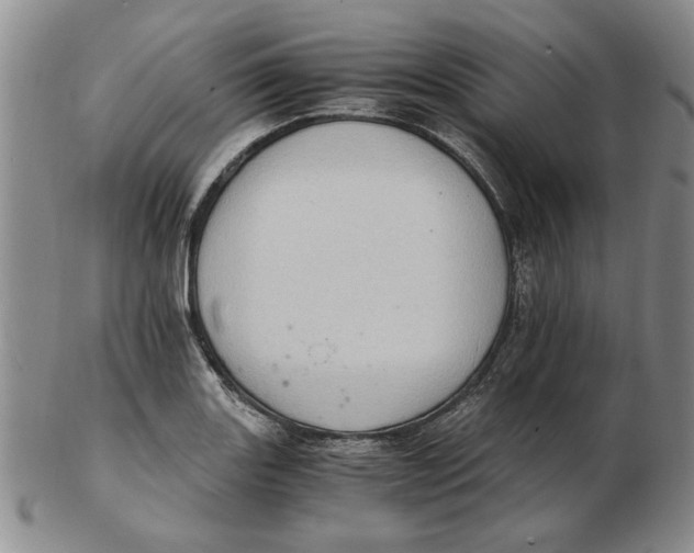 X0000102761131200809080935