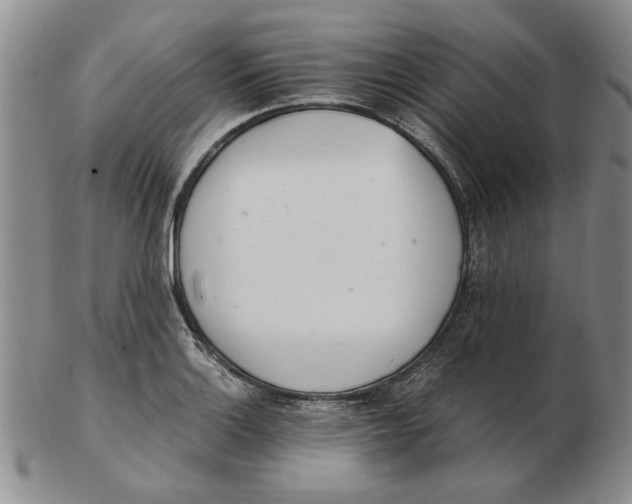 X0000102761132200809080935