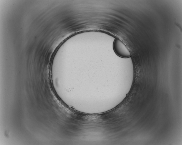 X0000102761134200809080935