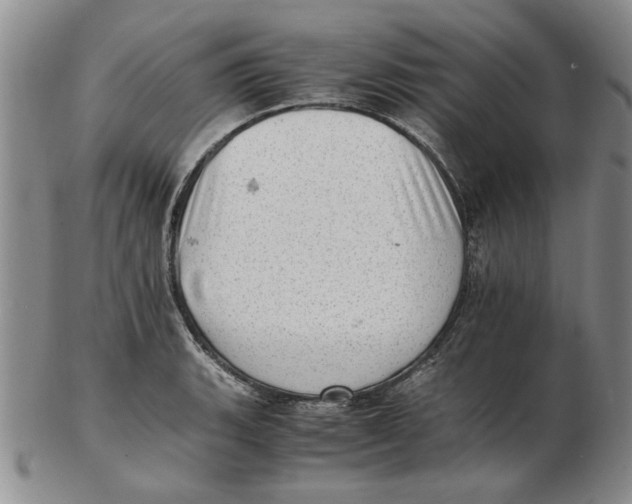 X0000102761135200809080935