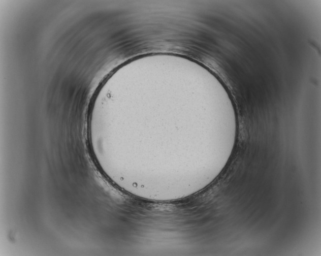 X0000102761136200809080935