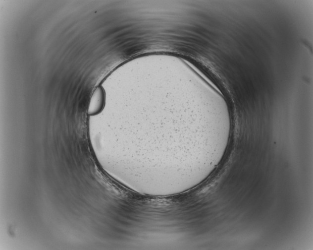 X0000102761137200809080935