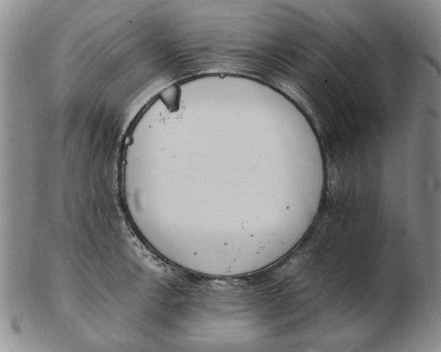 X0000102761138200809080935