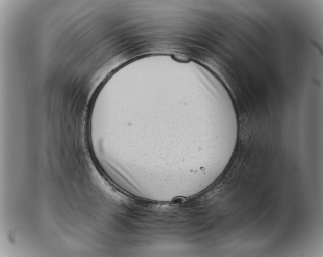 X0000102761139200809080935