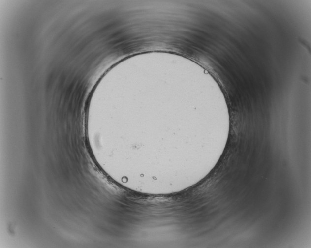 X0000102761140200809080935