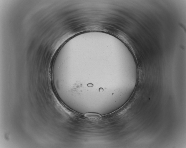 X0000102761141200809080935