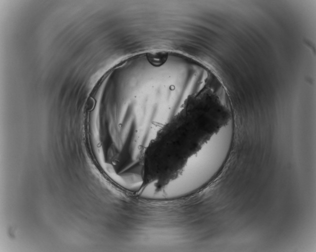 X0000102761142200809080935