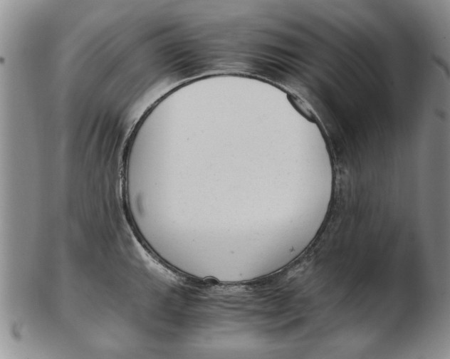 X0000102761143200809080935