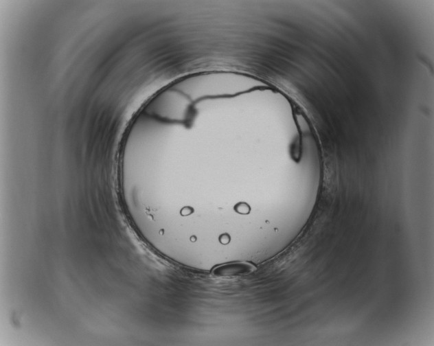 X0000102761144200809080935