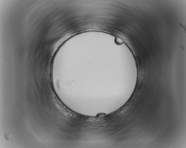 X0000102761146200809080935