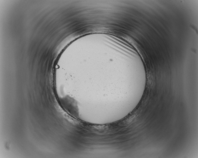 X0000102761147200809080935