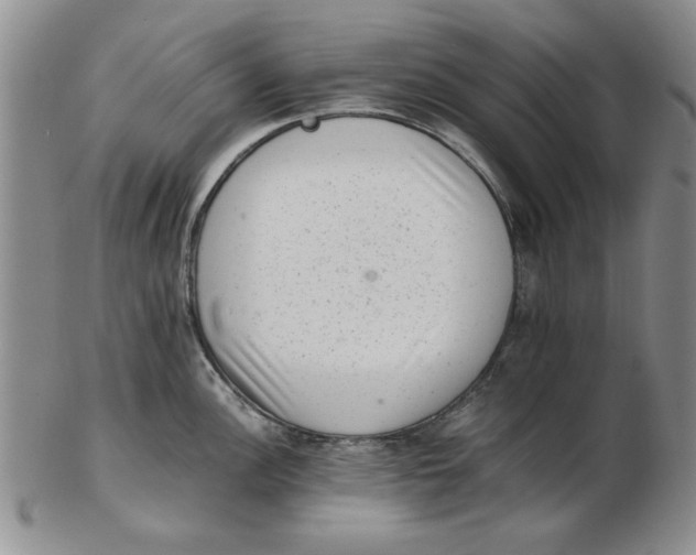 X0000102761148200809080935