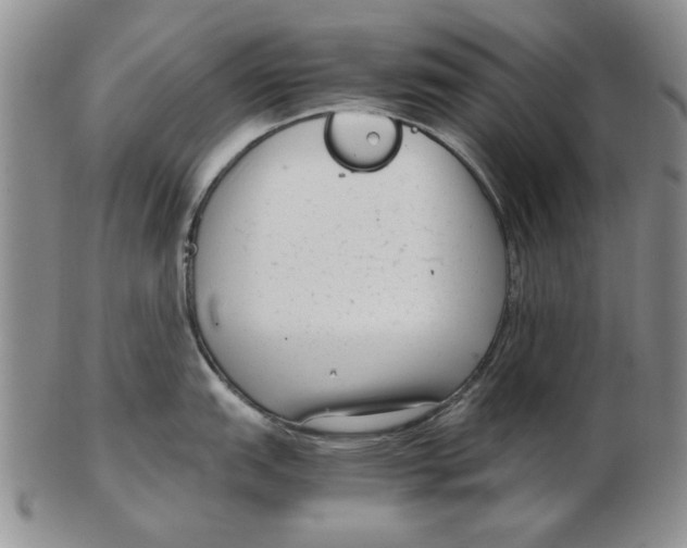 X0000102761151200809080935