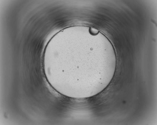 X0000102761152200809080935