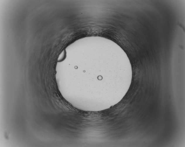 X0000102761153200809080935