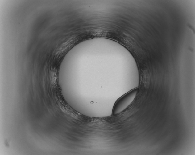 X0000102761154200809080935