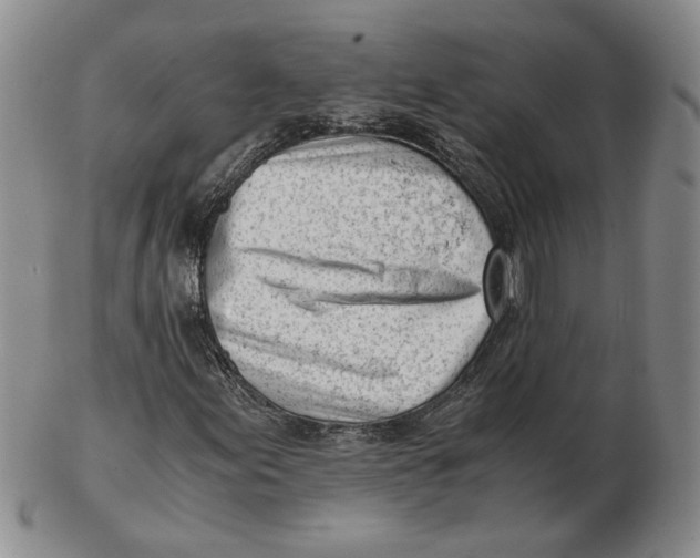 X0000102761155200809080935