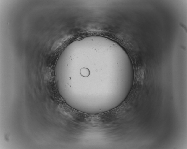 X0000102761157200809080934