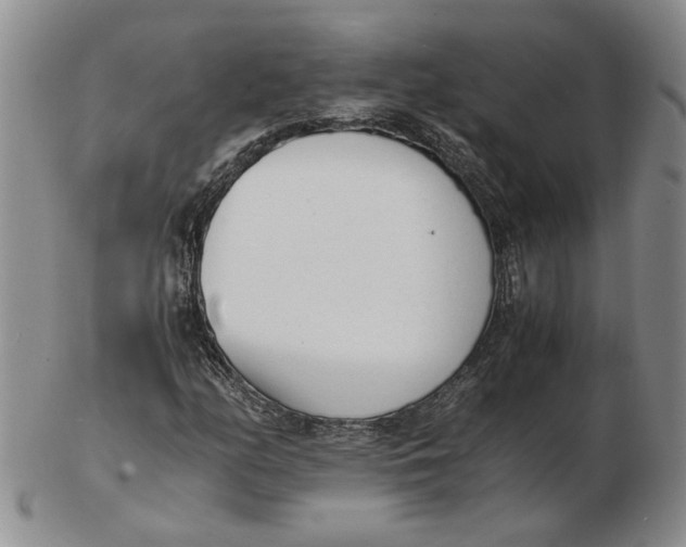 X0000102761158200809080934