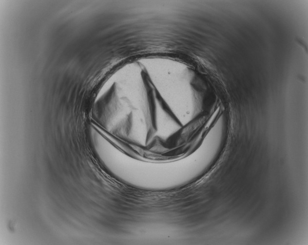 X0000102761161200809080934