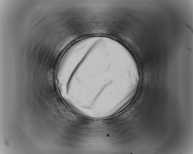 X0000102761162200809080934