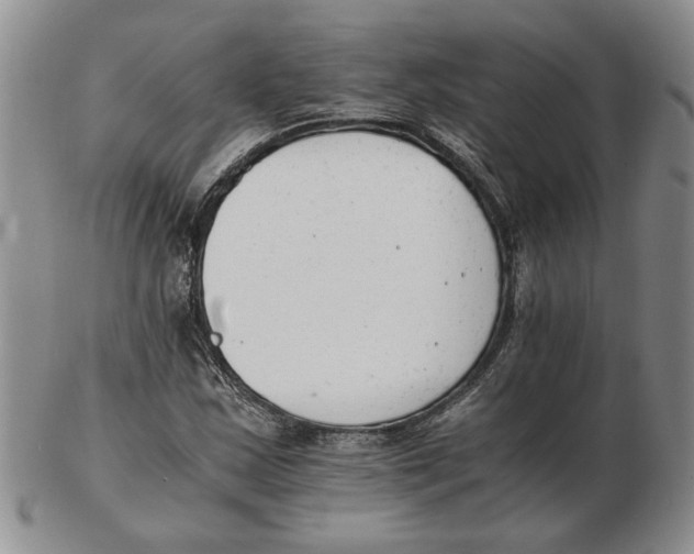 X0000102761163200809080934