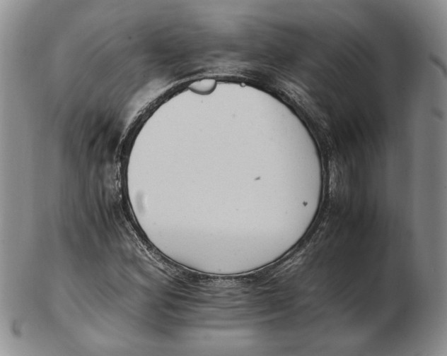 X0000102761164200809080934