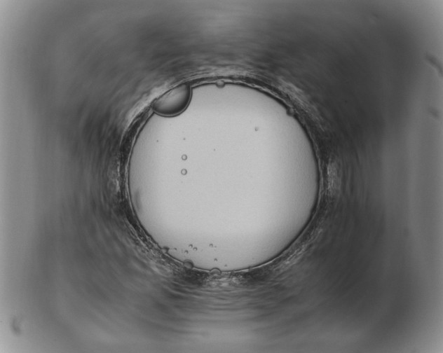 X0000102761165200809080934