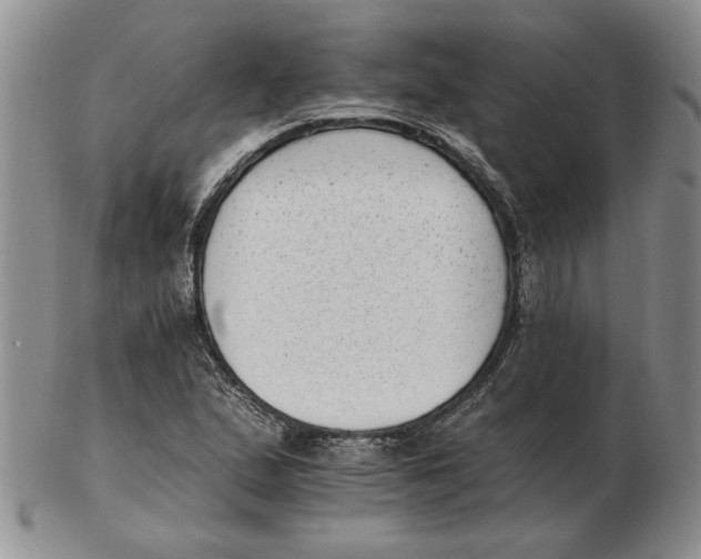 X0000102761167200809080934