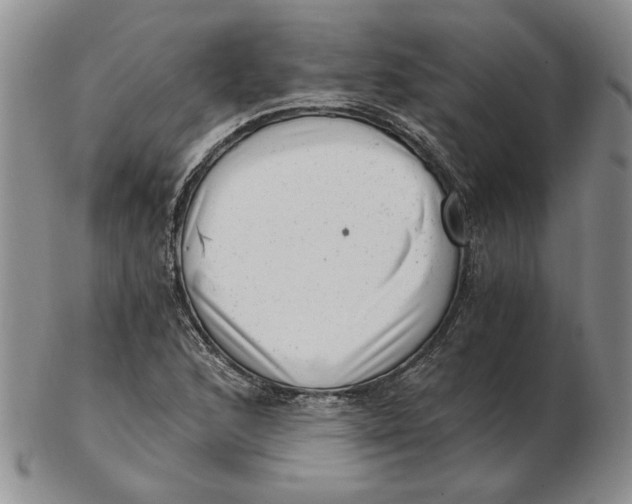 X0000102761168200809080934