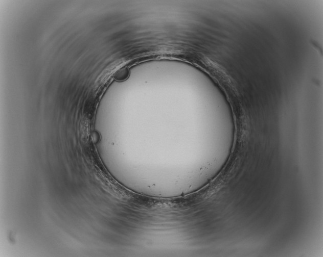 X0000102761169200809080934