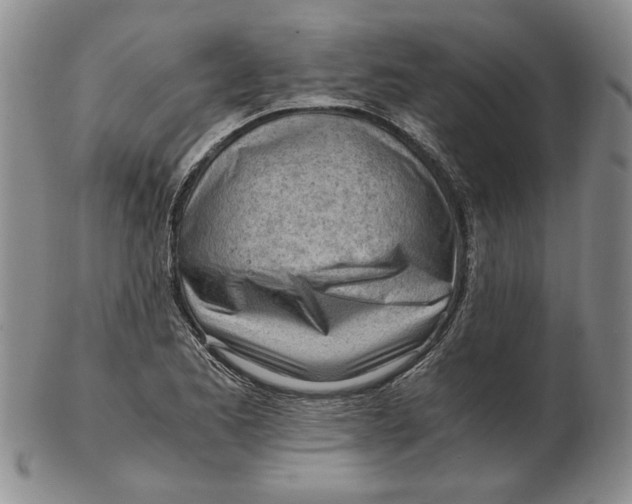 X0000102761173200809080934