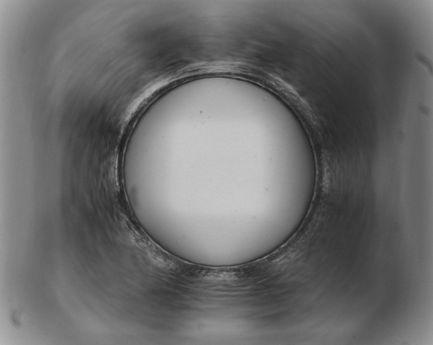 X0000102761174200809080934