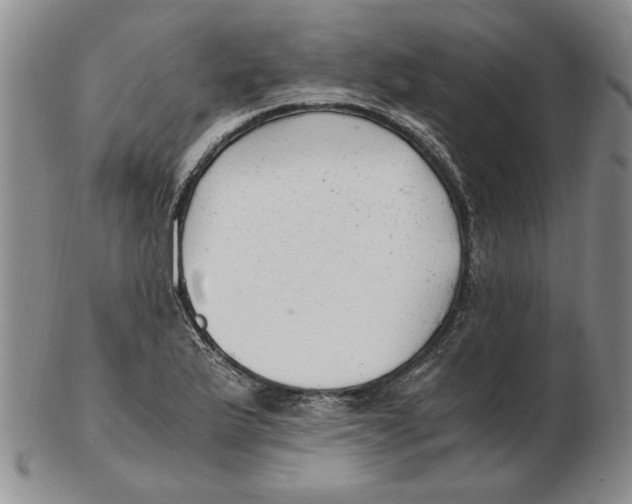 X0000102761175200809080934