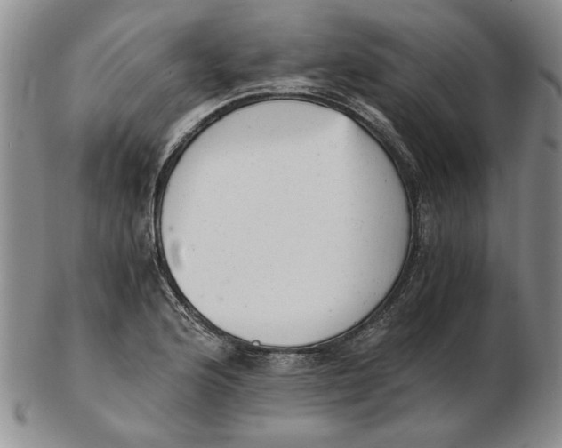 X0000102761176200809080934