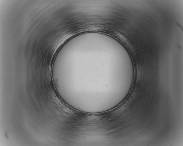 X0000102761178200809080934