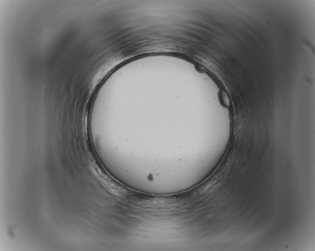 X0000102761179200809080934