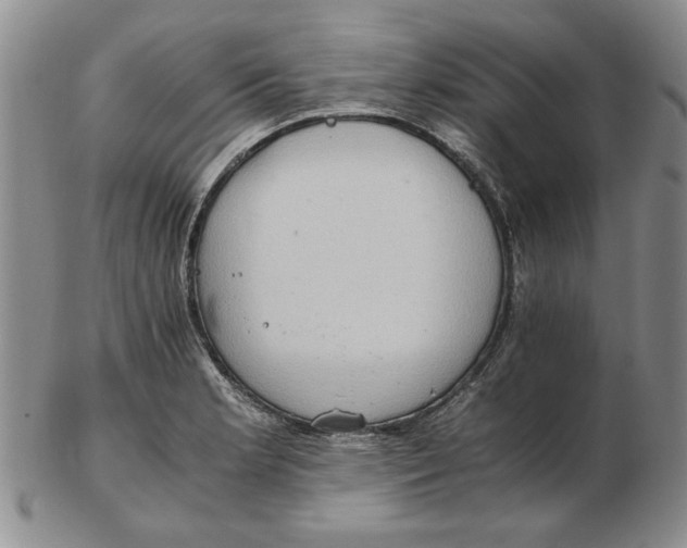 X0000102761181200809080934