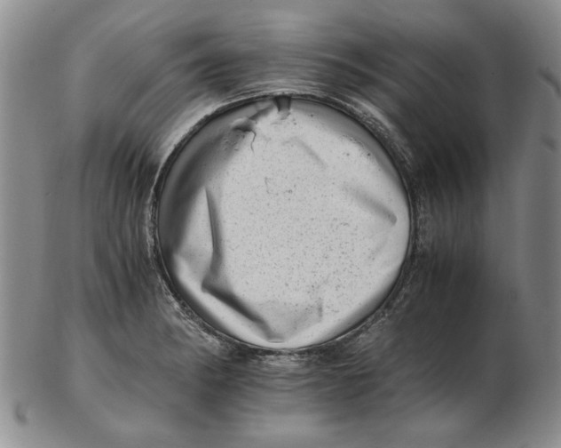 X0000102761182200809080934