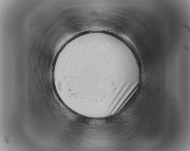 X0000102761183200809080934