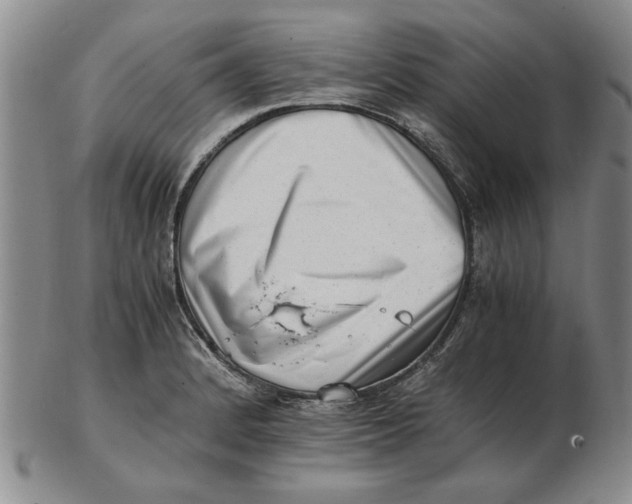 X0000102761184200809080934