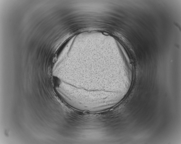 X0000102761185200809080934