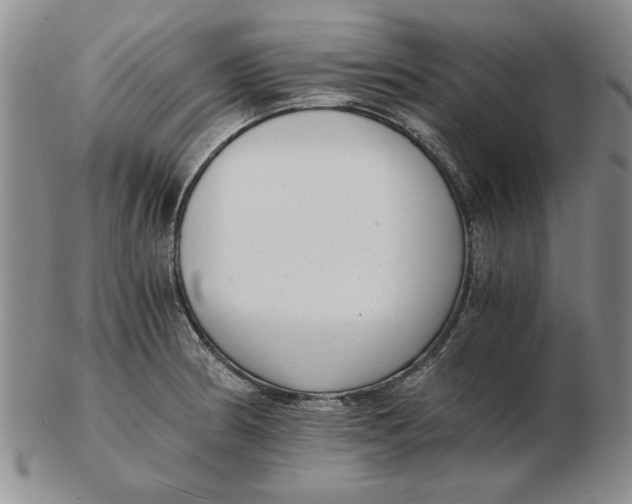 X0000102761186200809080934