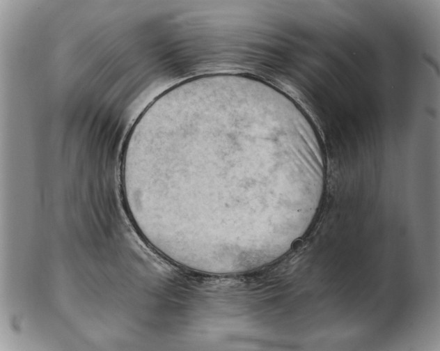 X0000102761187200809080934