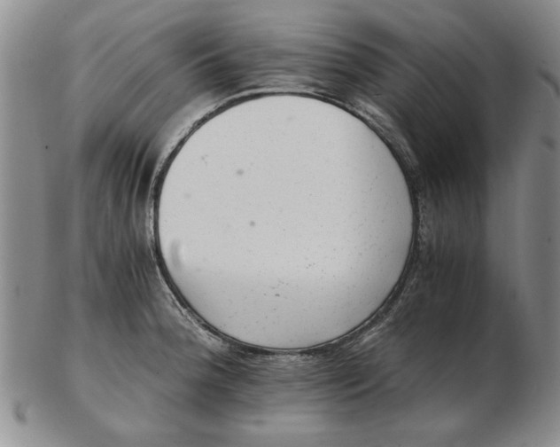 X0000102761188200809080934