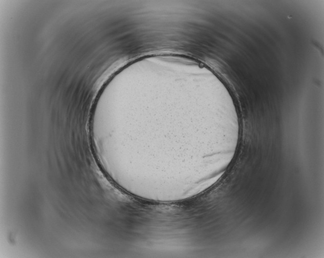 X0000102761189200809080934