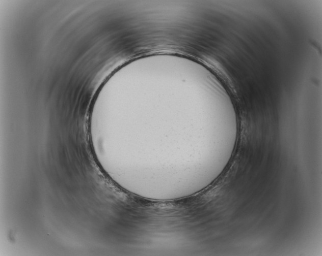 X0000102761190200809080934