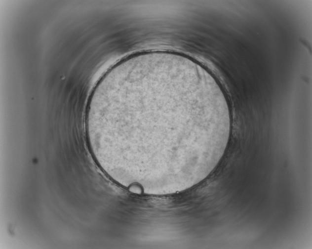 X0000102761191200809080934