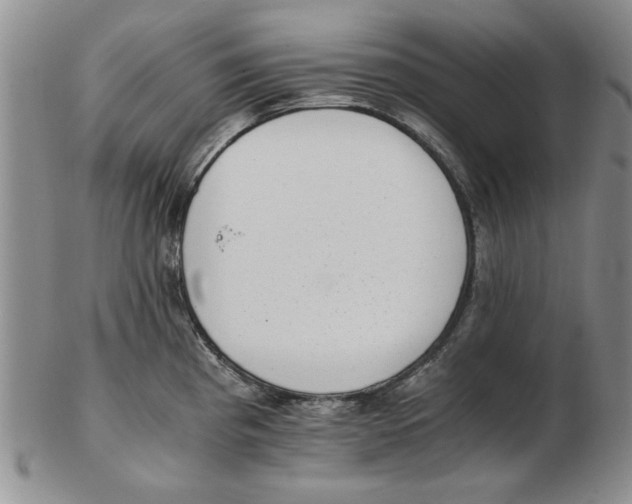 X0000102761193200809080934